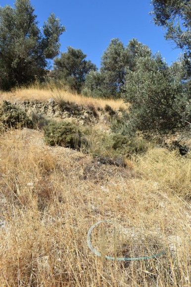 inner22020011578339077