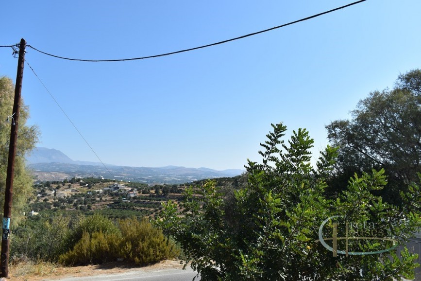 inner32020011578339077