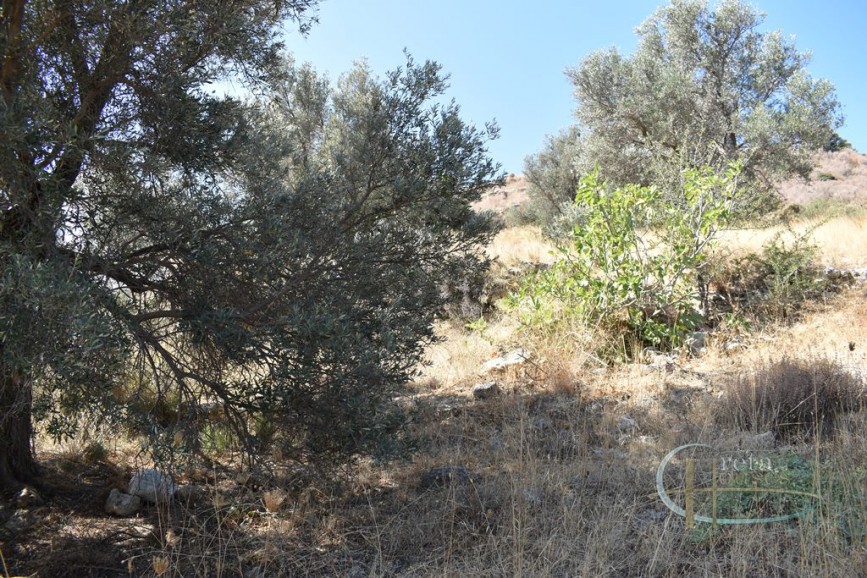 inner52020011578339077